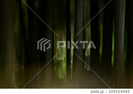 ICMによる森林イメージ 109424098