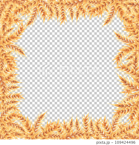 Wheat square field. Frame with ears of wheat. Watercolor illustration hand drawn isolated on white background. For design, flyers , invitations. 109424496