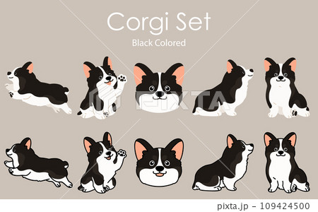 シンプルでかわいい黒いコーギーのイラストセット 109424500