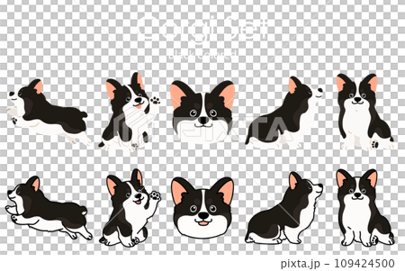 シンプルでかわいい黒いコーギーのイラストセット 109424500