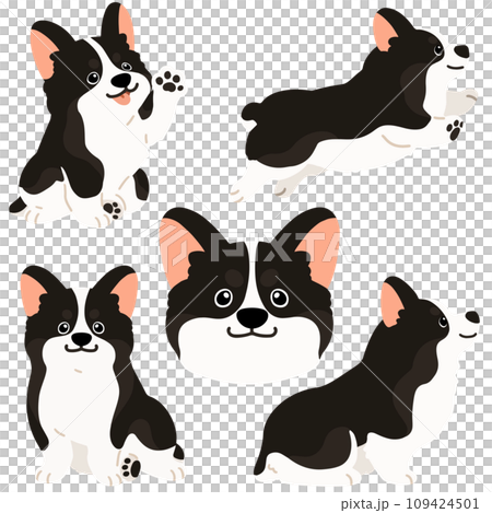 簡單可愛的無主線黑色柯基插畫集 109424501