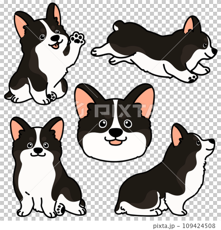 シンプルでかわいい黒いコーギーのイラストセット 主線あり シンプルでかわいい黒いコーギーのイラストセット 主線あり 109424508