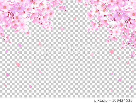 Frame of cherry blossoms and falling petals - Sakura blizzard Frame of cherry blossoms and falling petals - Sakura blizzard 109424533