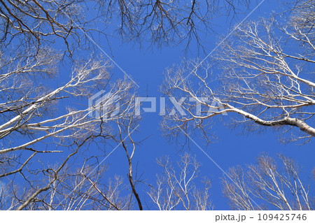 黒滝山・百村山 109425746