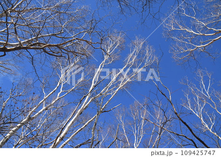 黒滝山・百村山 109425747