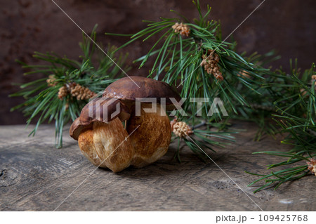 Group of Imleria Badia or Boletus badius mushrooms commonly known as the bay bolete on vintage wooden background.. Group of Imleria Badia or Boletus badius mushrooms commonly known as the bay bolete on vintage wooden background.. 109425768