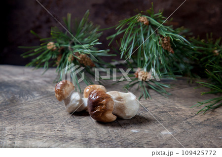 Porcini mushroom commonly known as Boletus Edulis on vintage wooden background.. 109425772