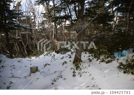 黒滝山・百村山 109425781
