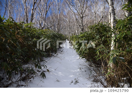 黒滝山・百村山 109425790