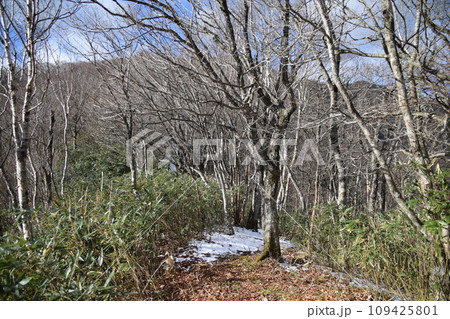 黒滝山・百村山 109425801