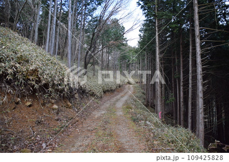 黒滝山・百村山 109425828