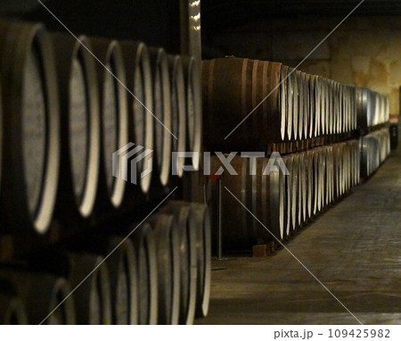 たる たる 109425982