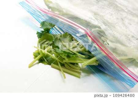 三つ葉の冷凍保存 109426480