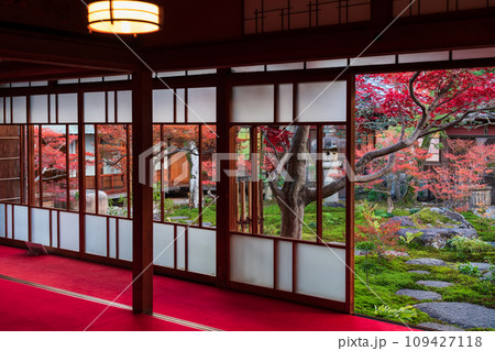 秋の旧林家住宅と庭園〈愛知県一宮市〉 秋の旧林家住宅と庭園〈愛知県一宮市〉 109427118