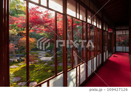 秋の旧林家住宅と庭園〈愛知県一宮市〉 109427126