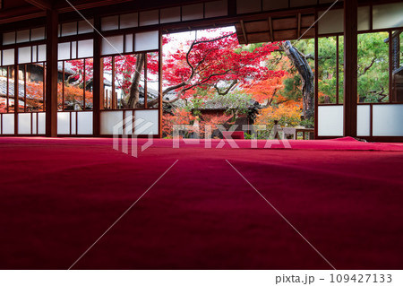 秋の旧林家住宅と庭園〈愛知県一宮市〉 秋の旧林家住宅と庭園〈愛知県一宮市〉 109427133