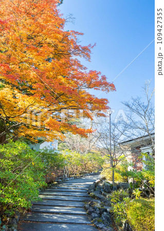 紅葉に包まれた建物と階段 紅葉に包まれた建物と階段 109427355