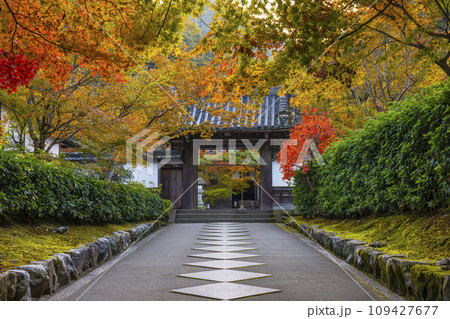 南禅寺塔頭 秋の最勝院高徳庵 紅葉に包まれた参道 南禅寺塔頭 秋の最勝院高徳庵 紅葉に包まれた参道 109427677