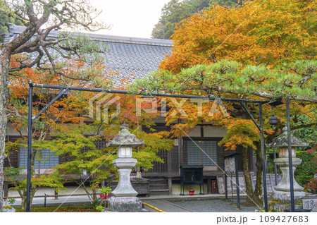南禅寺塔頭 秋の最勝院高徳庵 本堂 南禅寺塔頭 秋の最勝院高徳庵 本堂 109427683