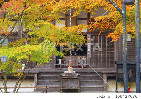 南禅寺塔頭　秋の最勝院高徳庵　本堂 109427686