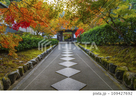 南禅寺塔頭　秋の最勝院高徳庵　紅葉に包まれた参道 109427692