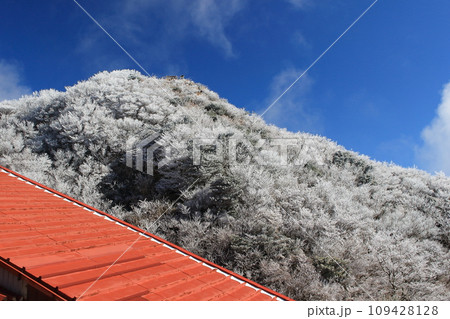 雲仙・妙見岳の霧氷 雲仙・妙見岳の霧氷 109428128