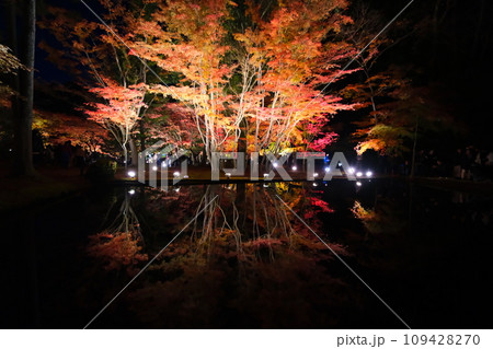 曾木公園の紅葉 109428270