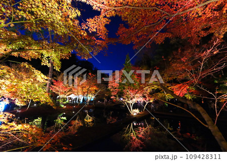 曾木公園の紅葉 曾木公園の紅葉 109428311