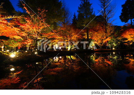 曾木公園の紅葉 109428316
