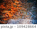 凍った水面に浮かぶ紅葉 109428664