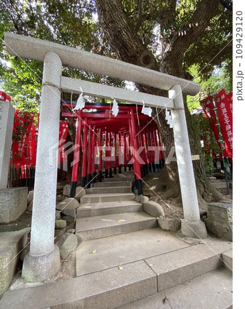 【神社・仏閣】東京都港区「乃木神社」内にある「赤坂王子稲荷神社」（鳥居・斜めから） 109429120