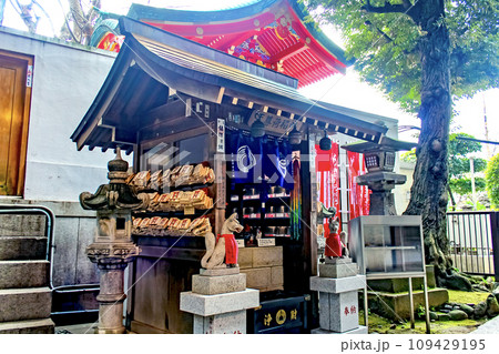【東京】春の豊川稲荷東京別院　叶稲荷 109429195