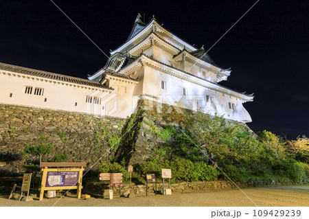 和歌山県和歌山市　和歌山城の夜景 109429239