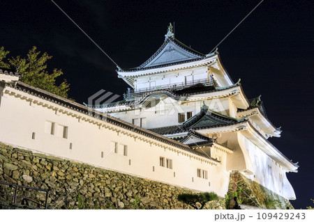 和歌山県和歌山市　和歌山城の夜景 109429243