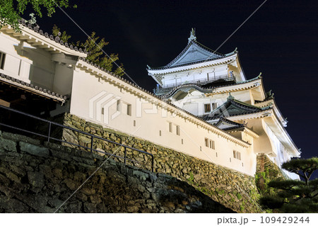 和歌山県和歌山市　和歌山城の夜景 109429244