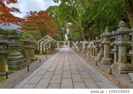 京都 石清水八幡宮 参道の風景 京都 石清水八幡宮 参道の風景 109429905