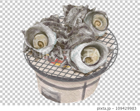 Watercolor turban shell 01_5 Watercolor turban shell 01_5 109429983