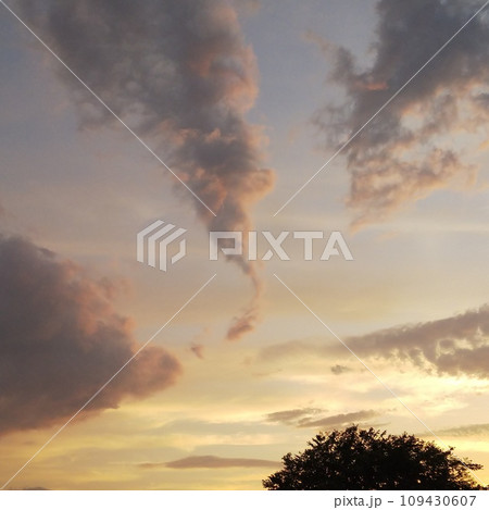 絵画のような優しい色の空 絵画のような優しい色の空 109430607