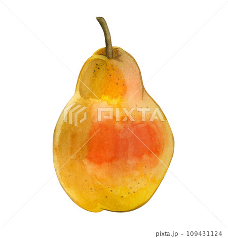 Watercolor illustration. A yellow juicy pear with a red side painted in watercolor on a white background. Suitable for printing on fabric and paper, for kitchens, tableware and textile design 109431124