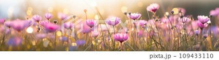 flowers growing on a field of grass, flowers growing on a field of grass, 109433110
