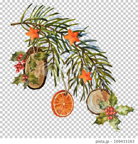 Watercolor Christmas fir branch with wooden toys, holly berries, and dry oranges. Hand painted holiday elements with winter plants isolated on white background. 109433163