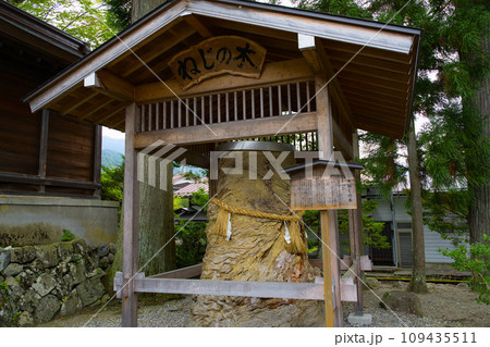 飛驒一宮水無神社 拗の木 岐阜県高山市一之宮町 飛驒一宮水無神社 拗の木 岐阜県高山市一之宮町 109435511