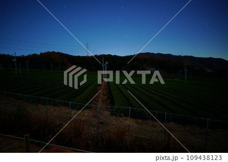 日本緑茶発祥の地・宇治田原町　西ノ山展望広場の夜景 109438123