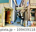 猫の歩く昼の小路 109439118