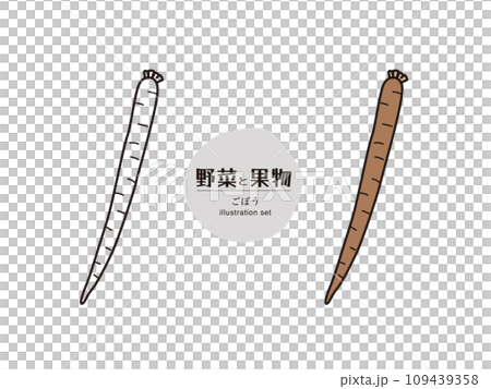 Vegetable illustration set_burdock 109439358