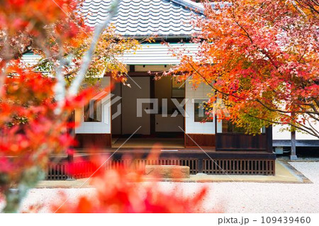 寺院の紅葉 寺院の紅葉 109439460