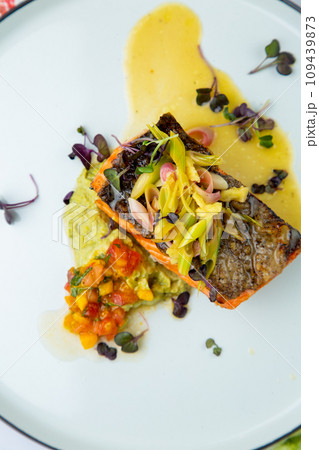 red fish with vegetable sauce and puree on a round plate top view red fish with vegetable sauce and puree on a round plate top view 109439873