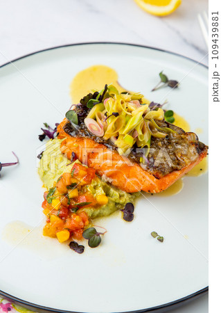red fish with vegetable sauce and puree on a round plate side view red fish with vegetable sauce and puree on a round plate side view 109439881
