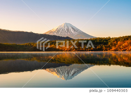夜明けの富士山(西湖にて) 夜明けの富士山(西湖にて) 109440303