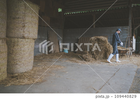 ranch 109440829